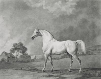 Mambrino, engraved by George Townley Stubbs by George Stubbs